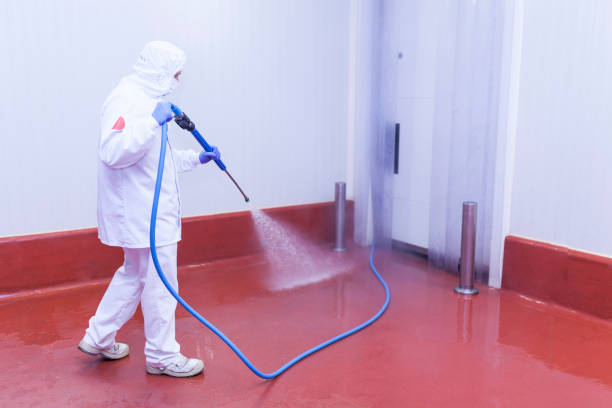 Professional Pressure Washing Services in Five Points, OH